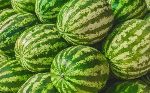 娱乐吃瓜素材哪里找